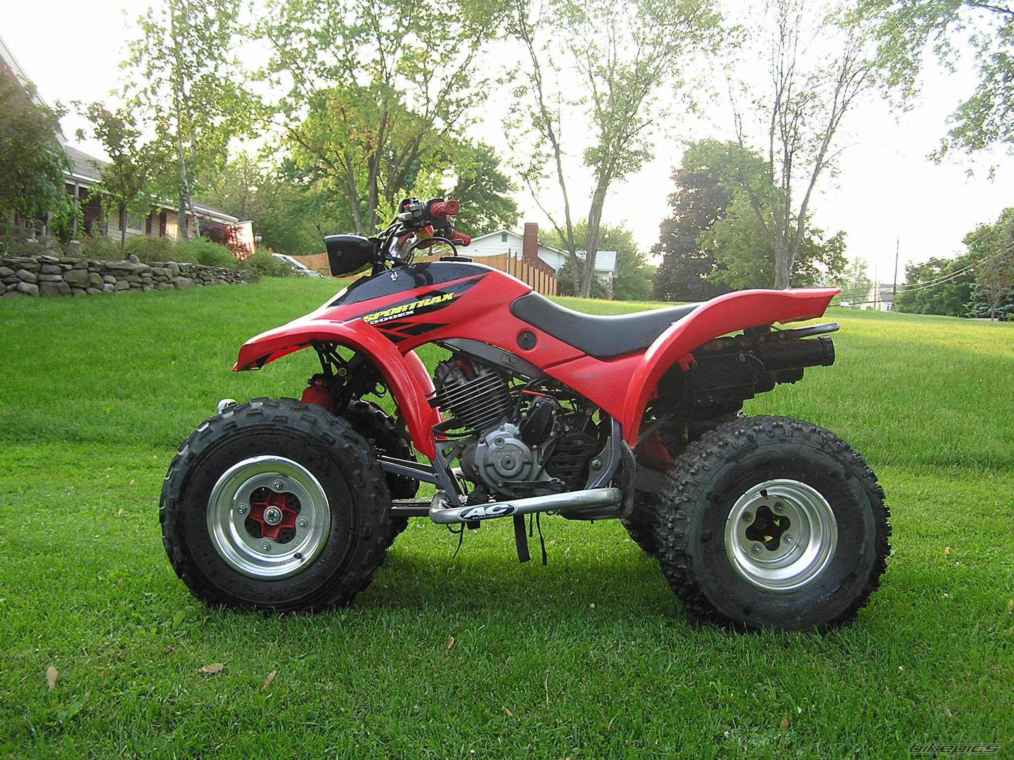 Photo 151683