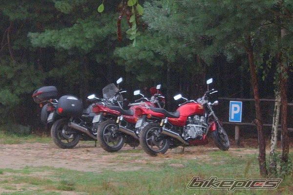 Photo 1516869