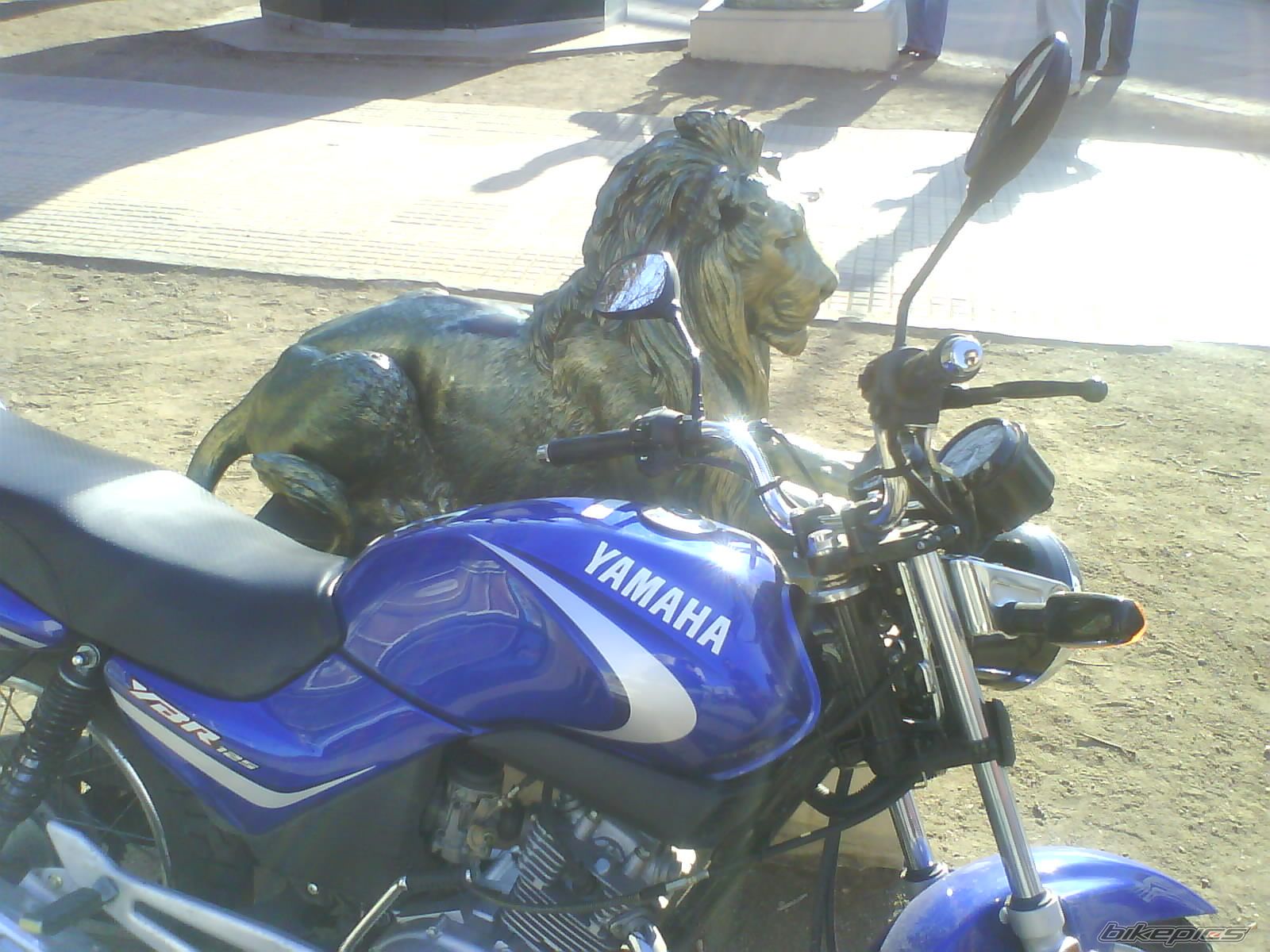 Photo 1516980
