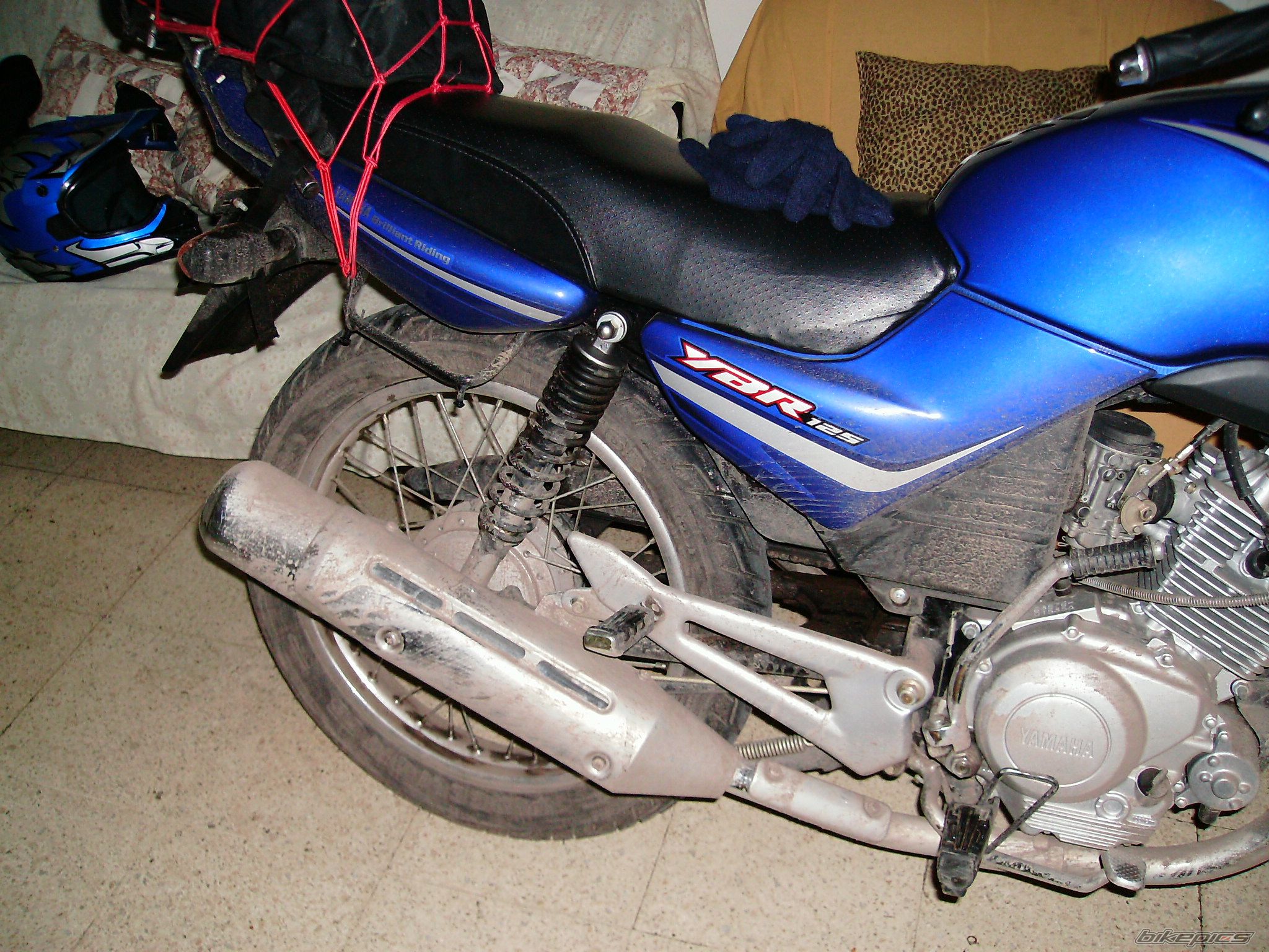 Photo 1516995
