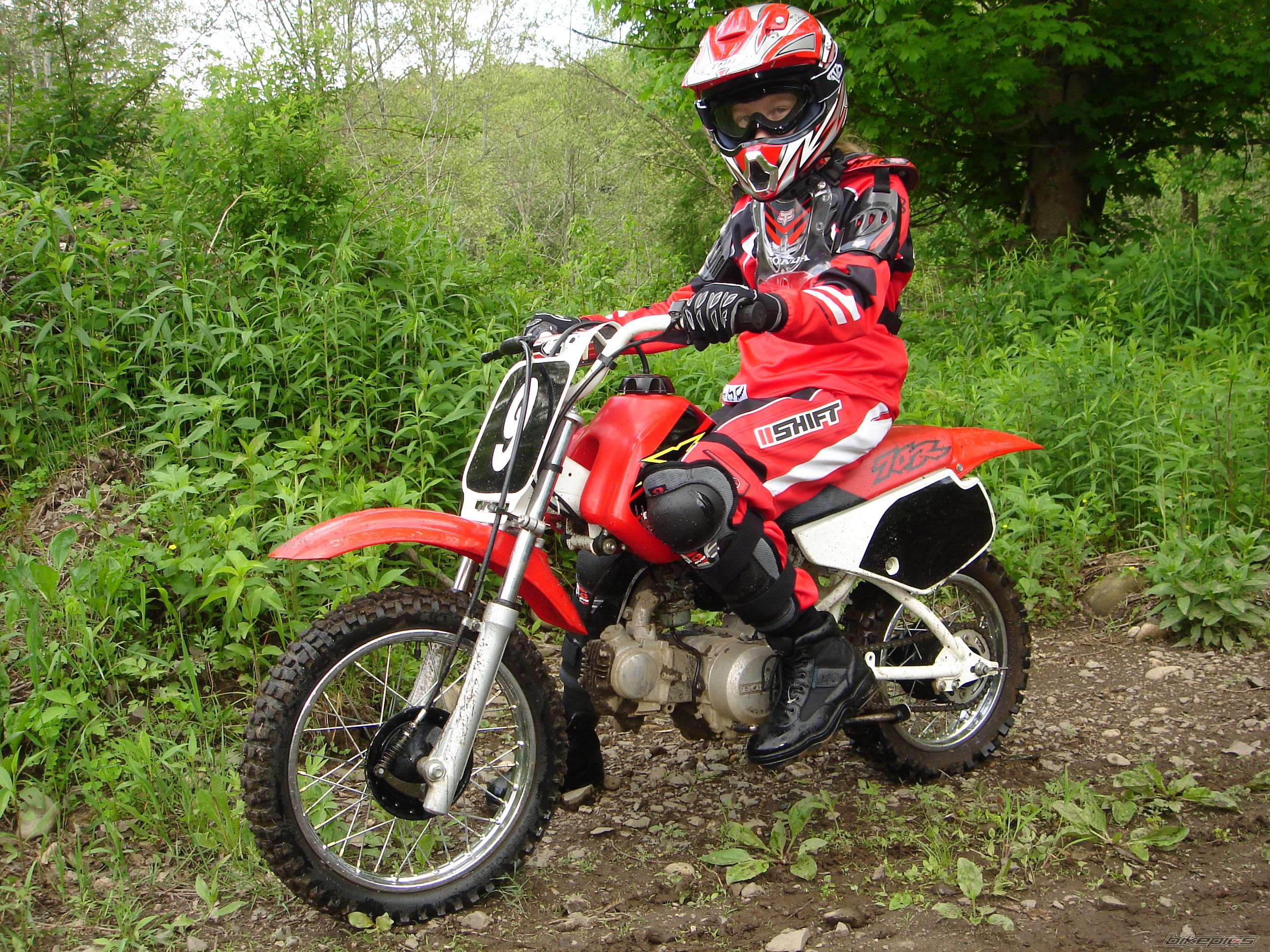 Photo 1516999