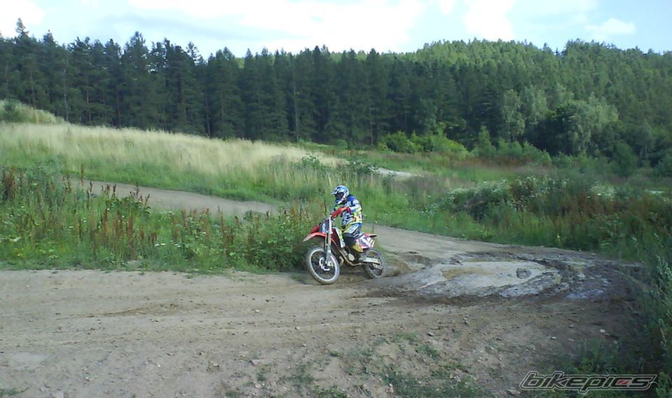 Photo 1517054