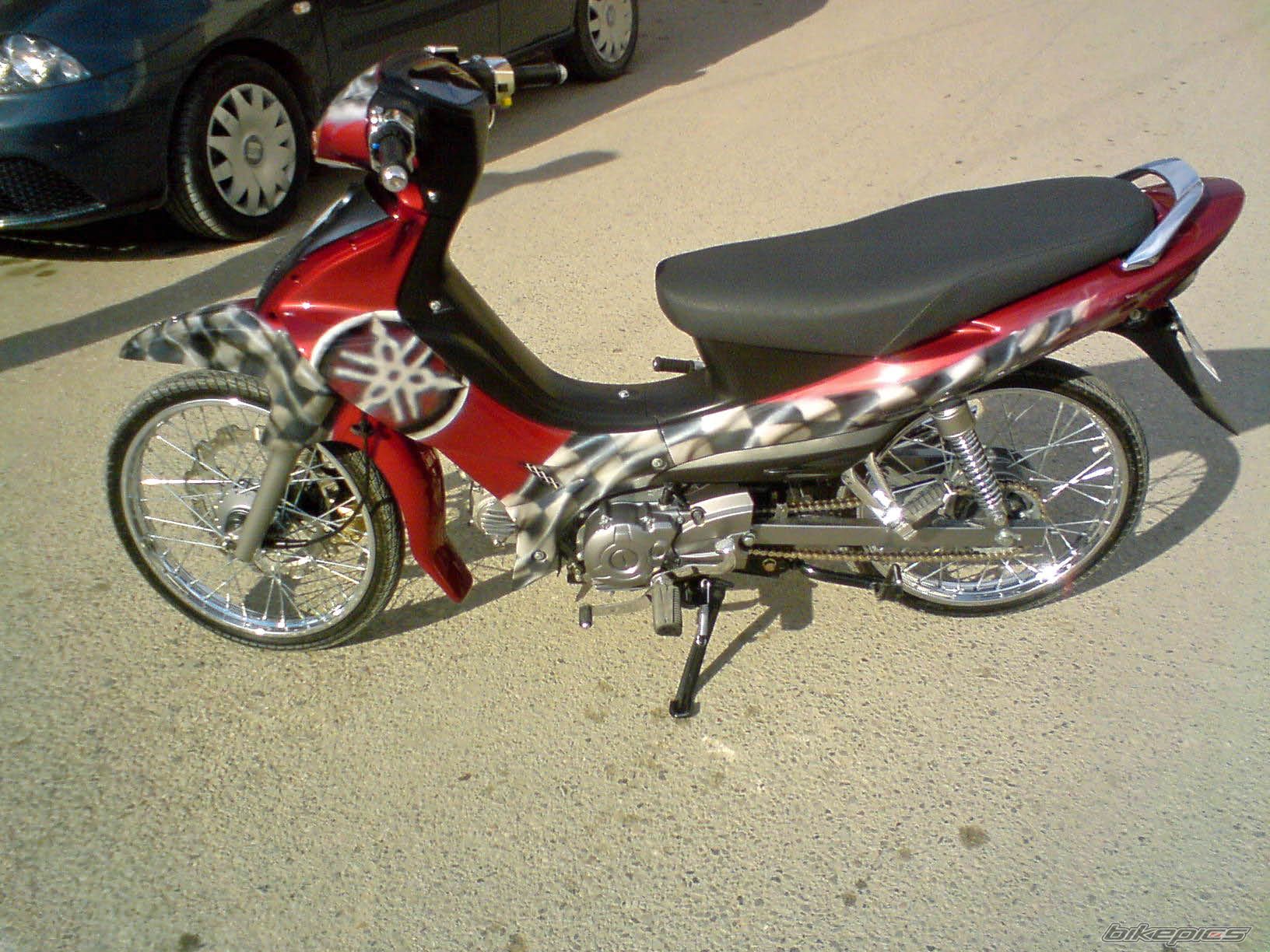 Photo 1517279