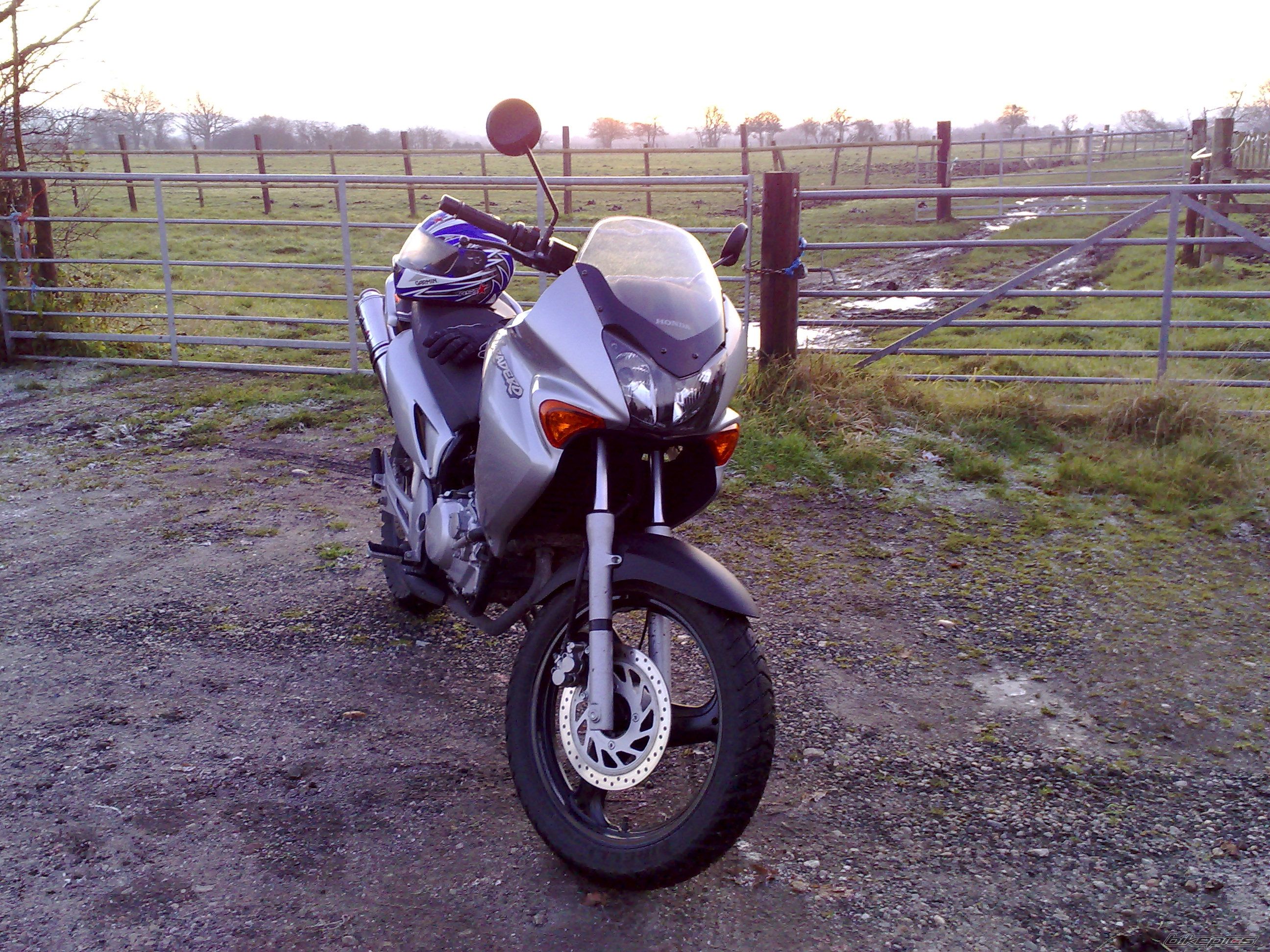 Photo 1517286