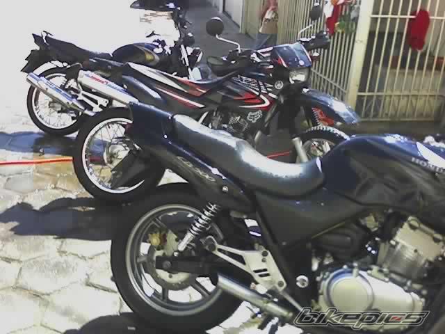 Photo 1517294