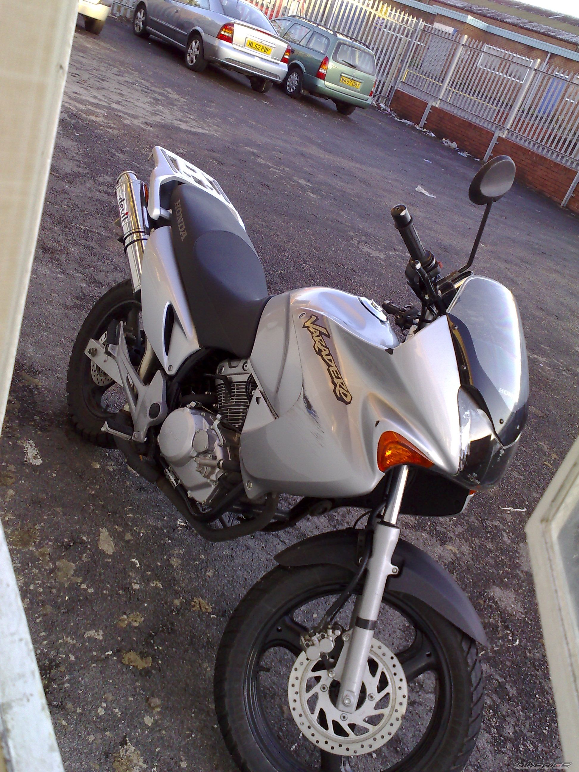 Photo 1517295