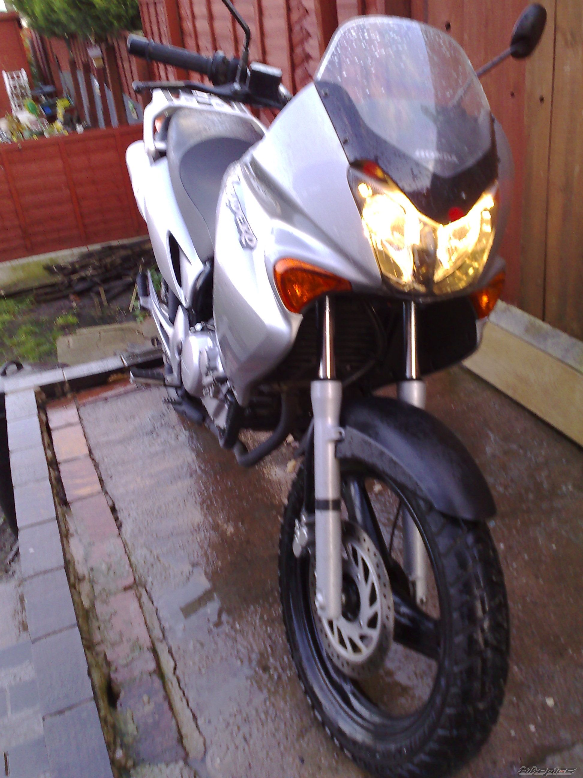 Photo 1517298