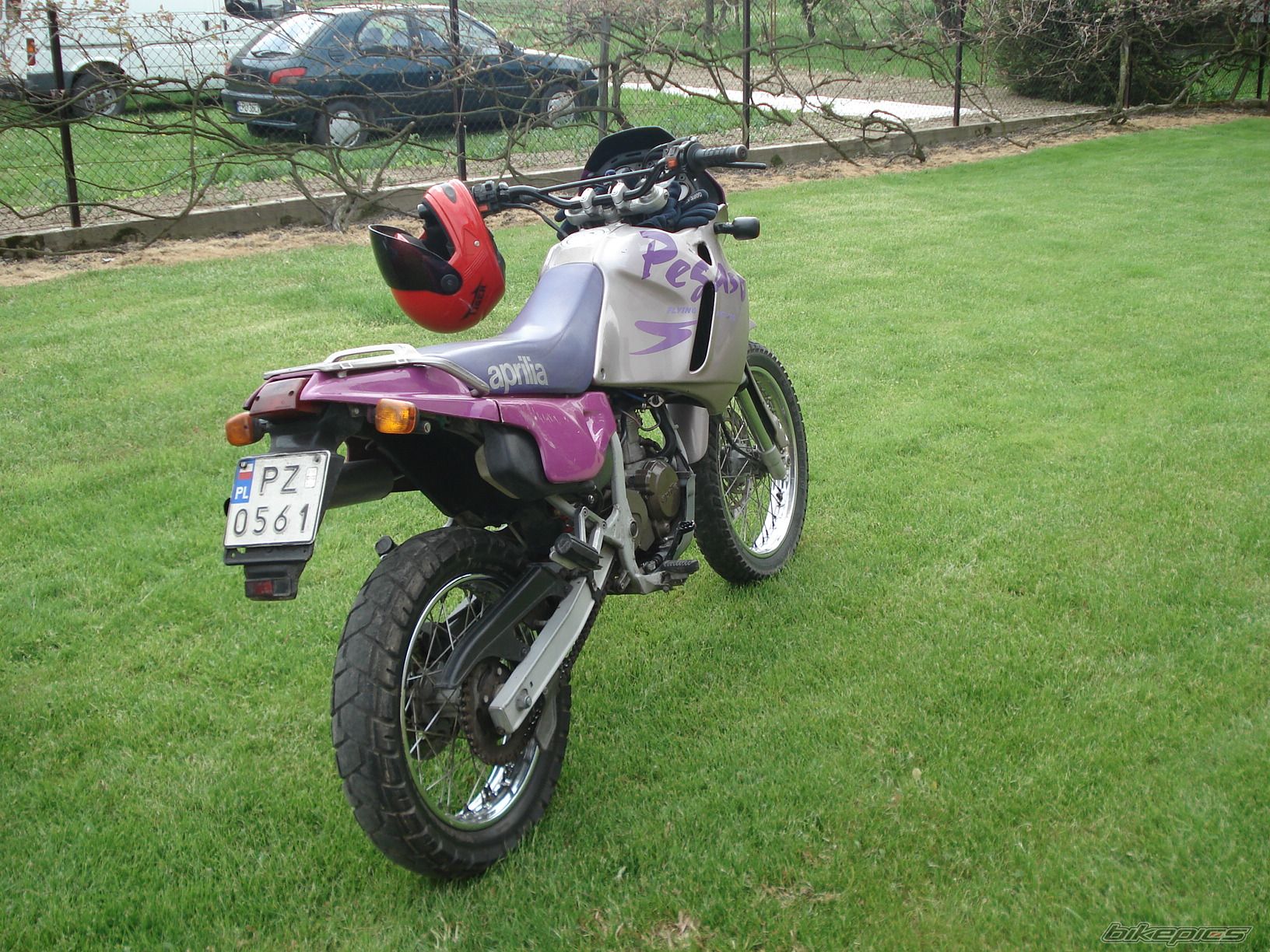 Photo 1517310