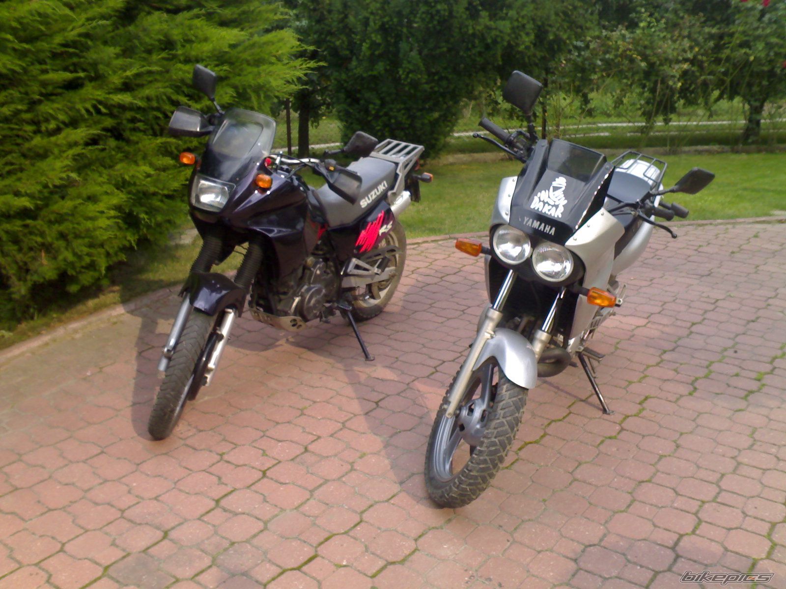Photo 1517317