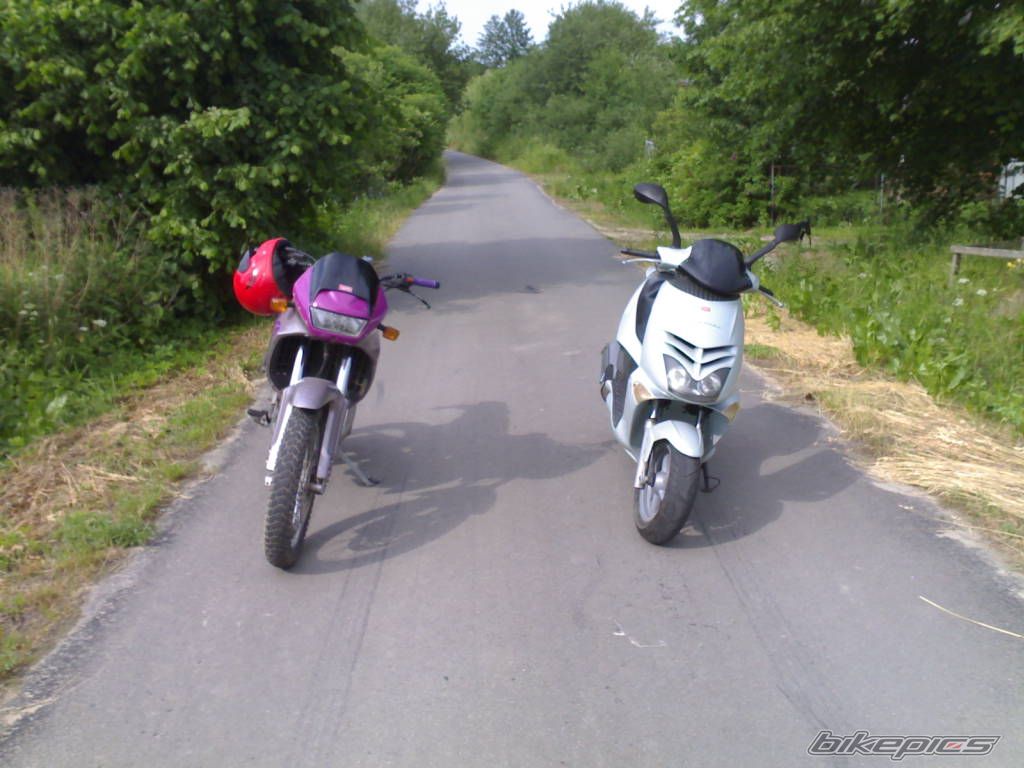 Photo 1517330