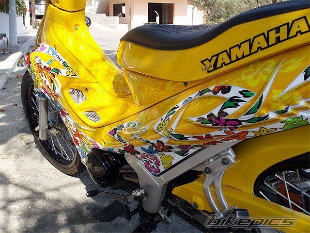 Photo 1517374