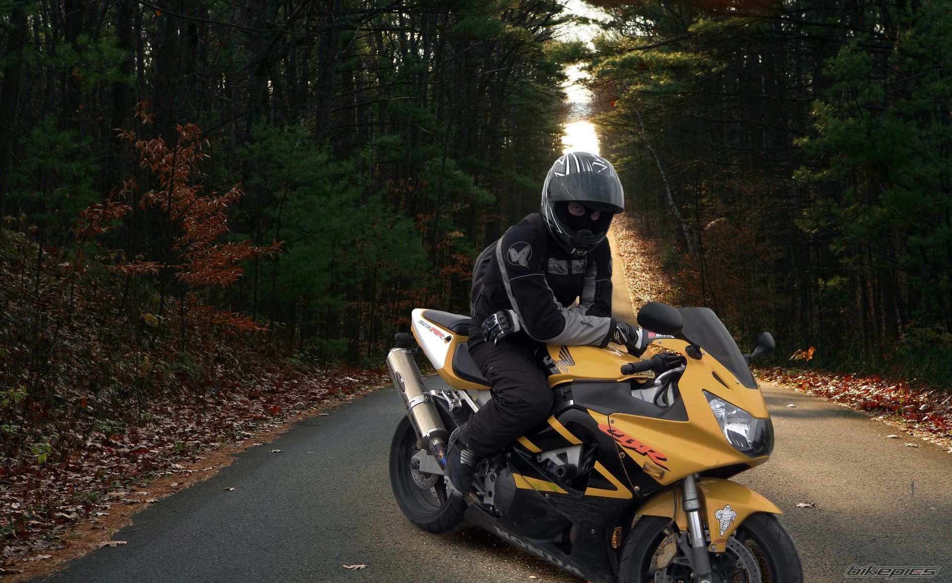 Bike Photo 1517391