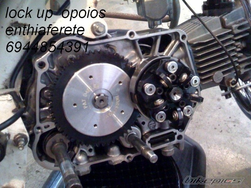 Photo 1517402