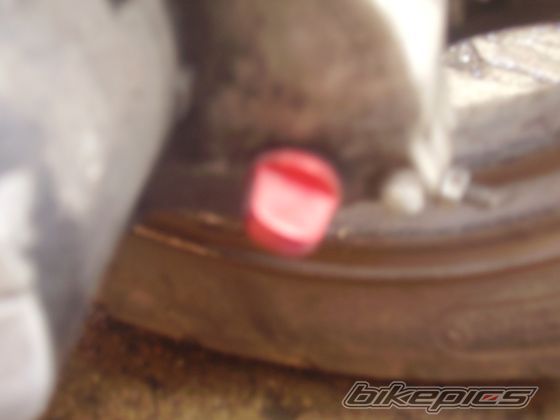 Photo 1517405