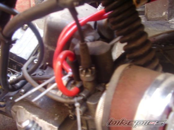 Photo 1517407