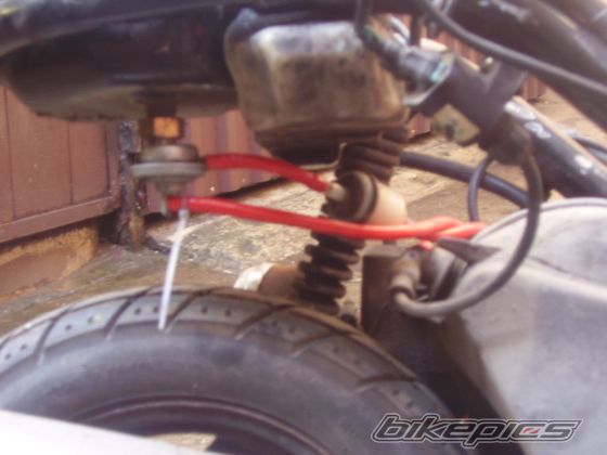 Photo 1517410