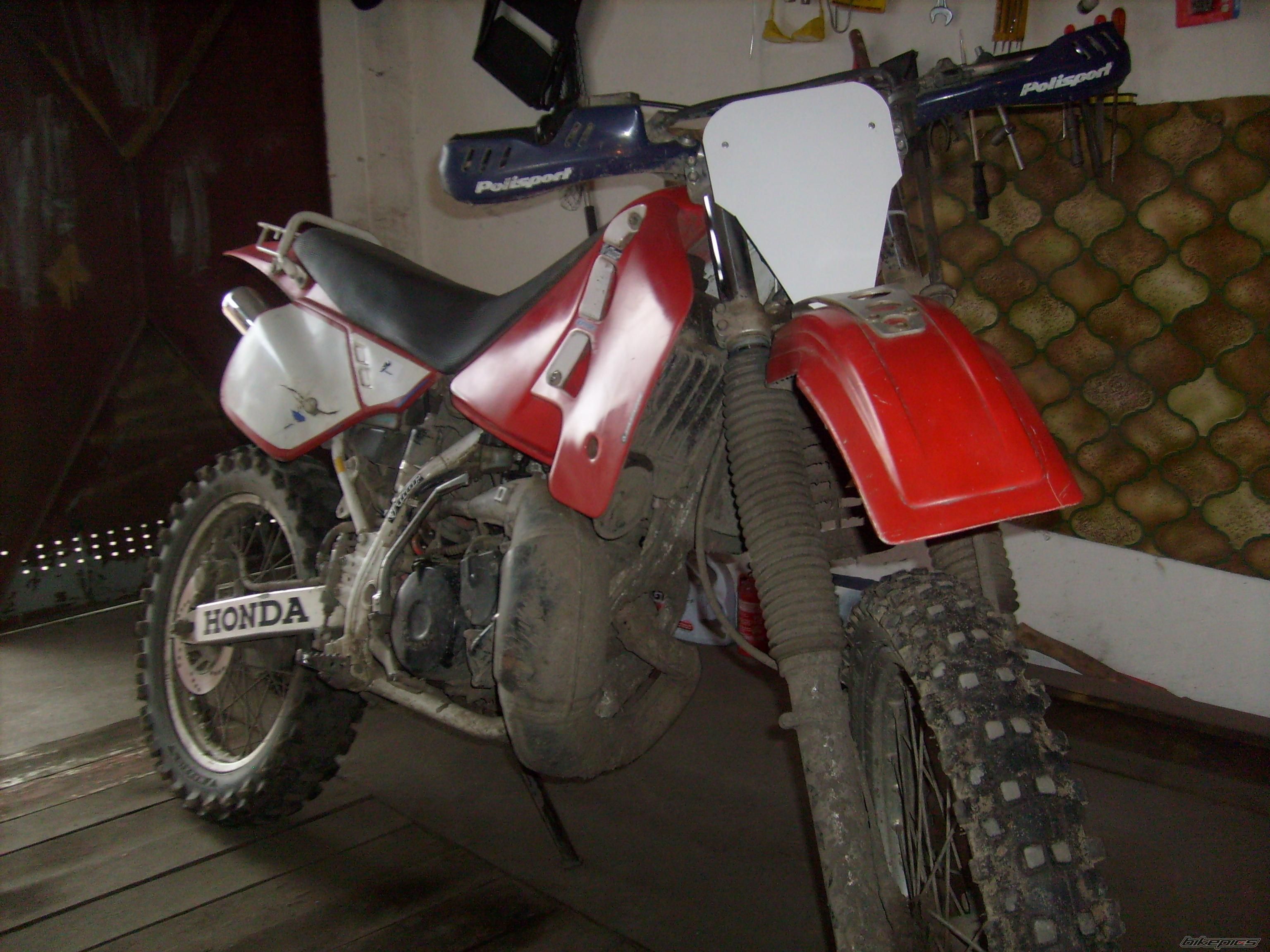 Photo 1517439