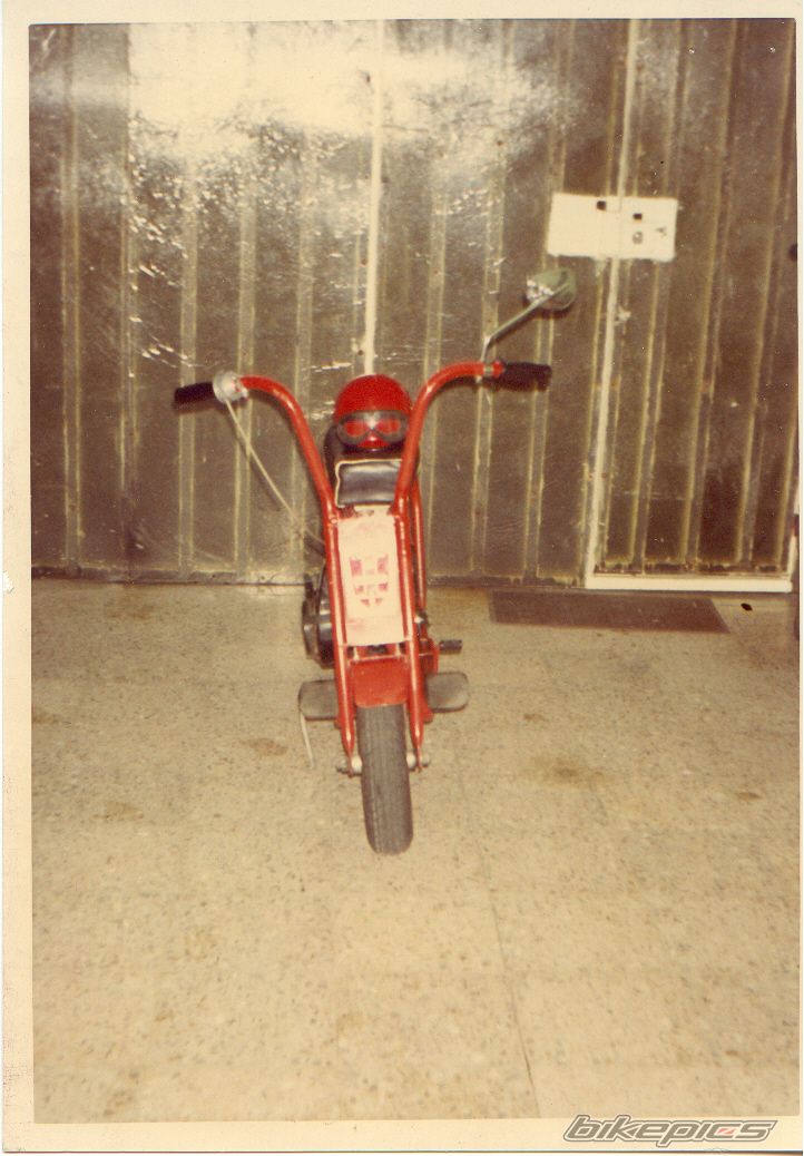 Photo 1517492