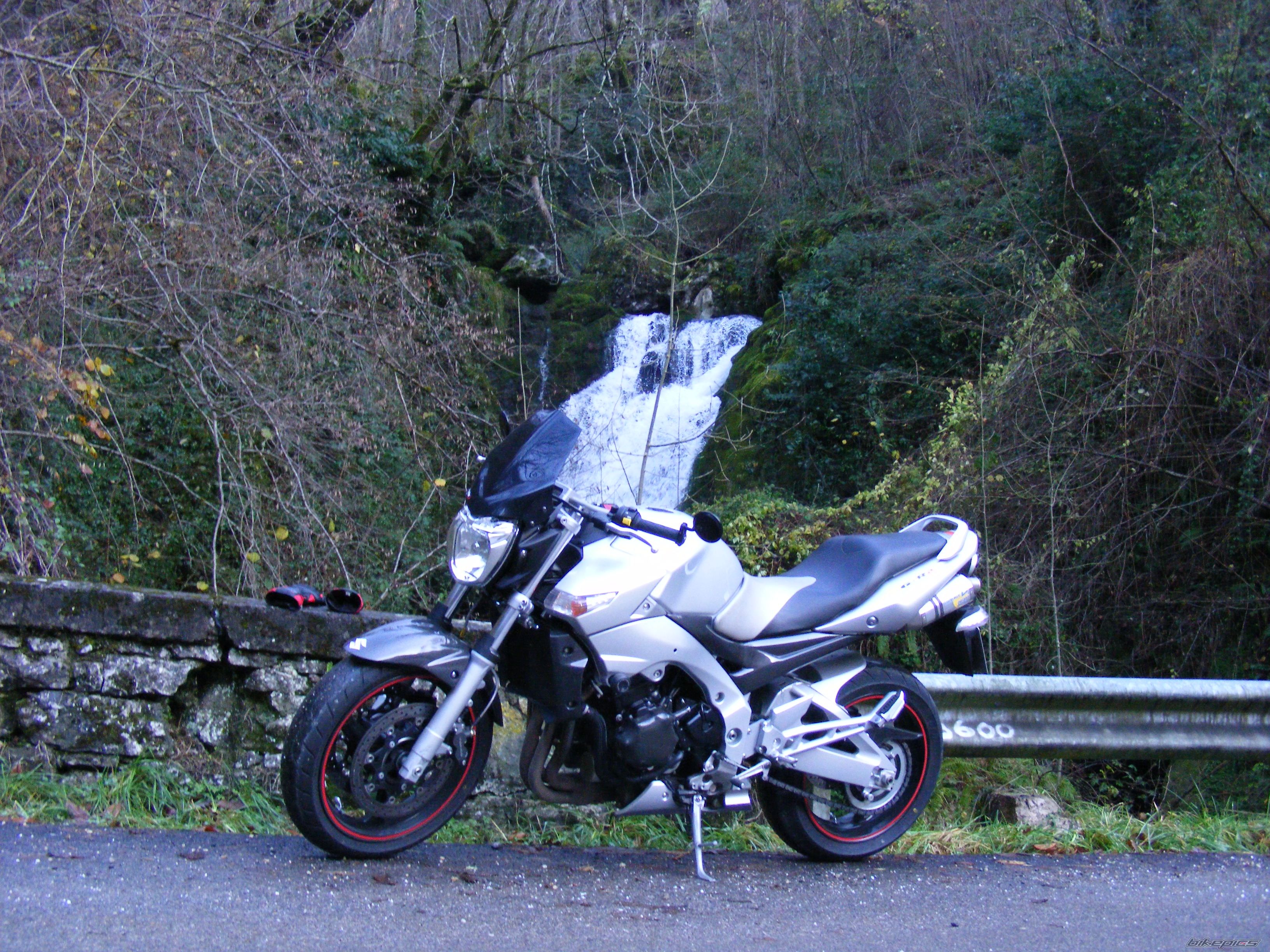 Photo 1517498