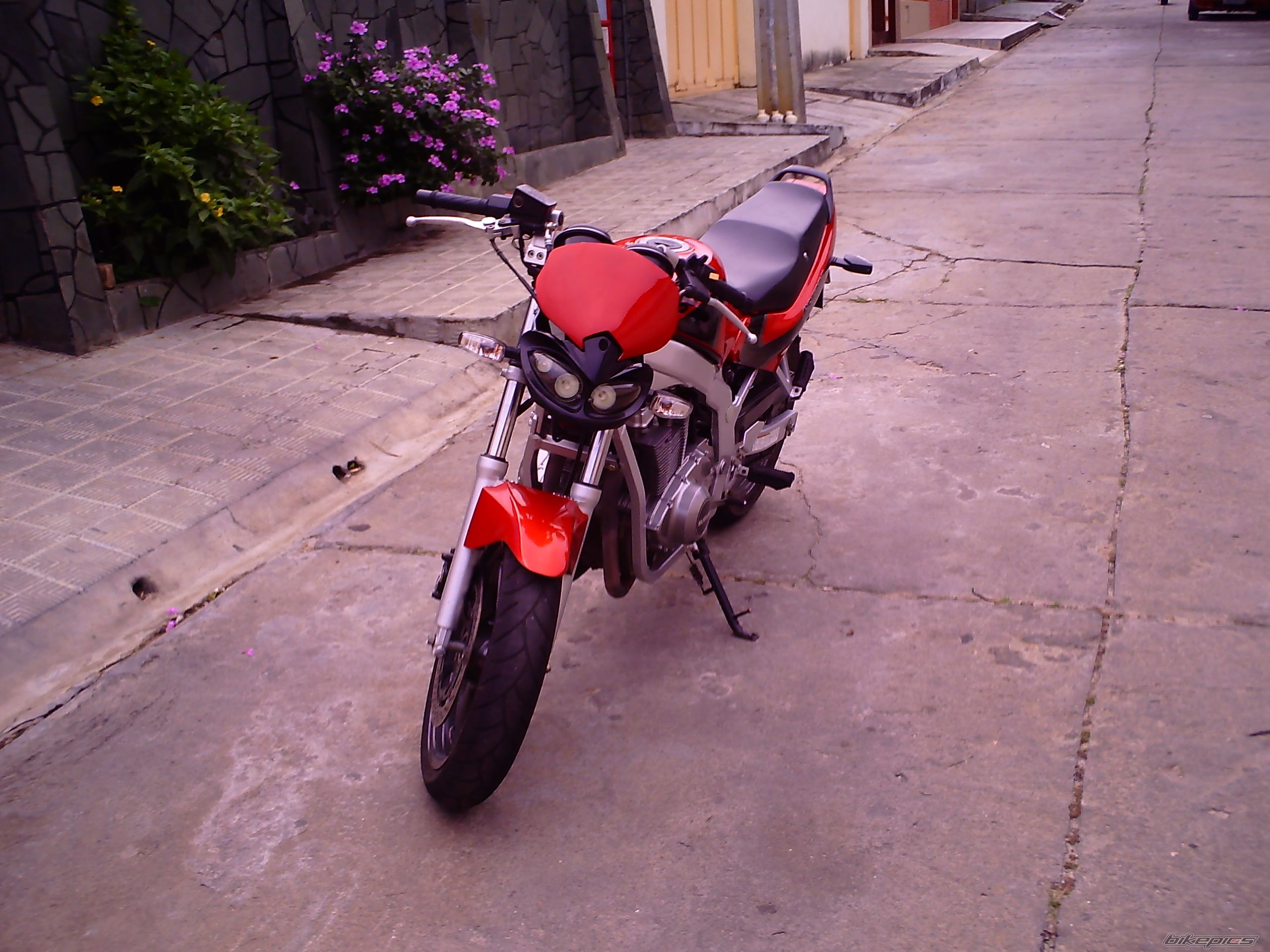 Photo 1517500