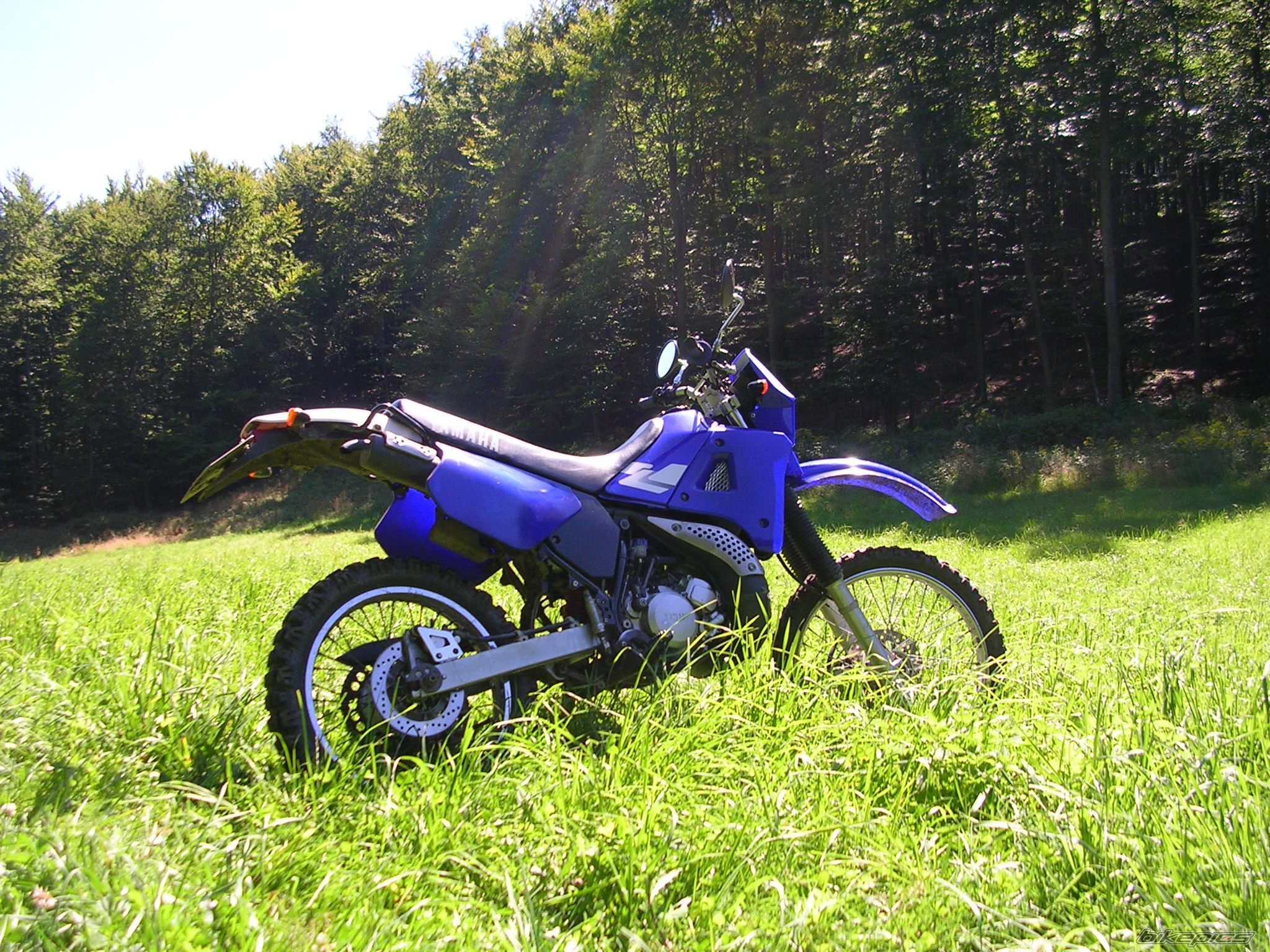 Photo 1517535