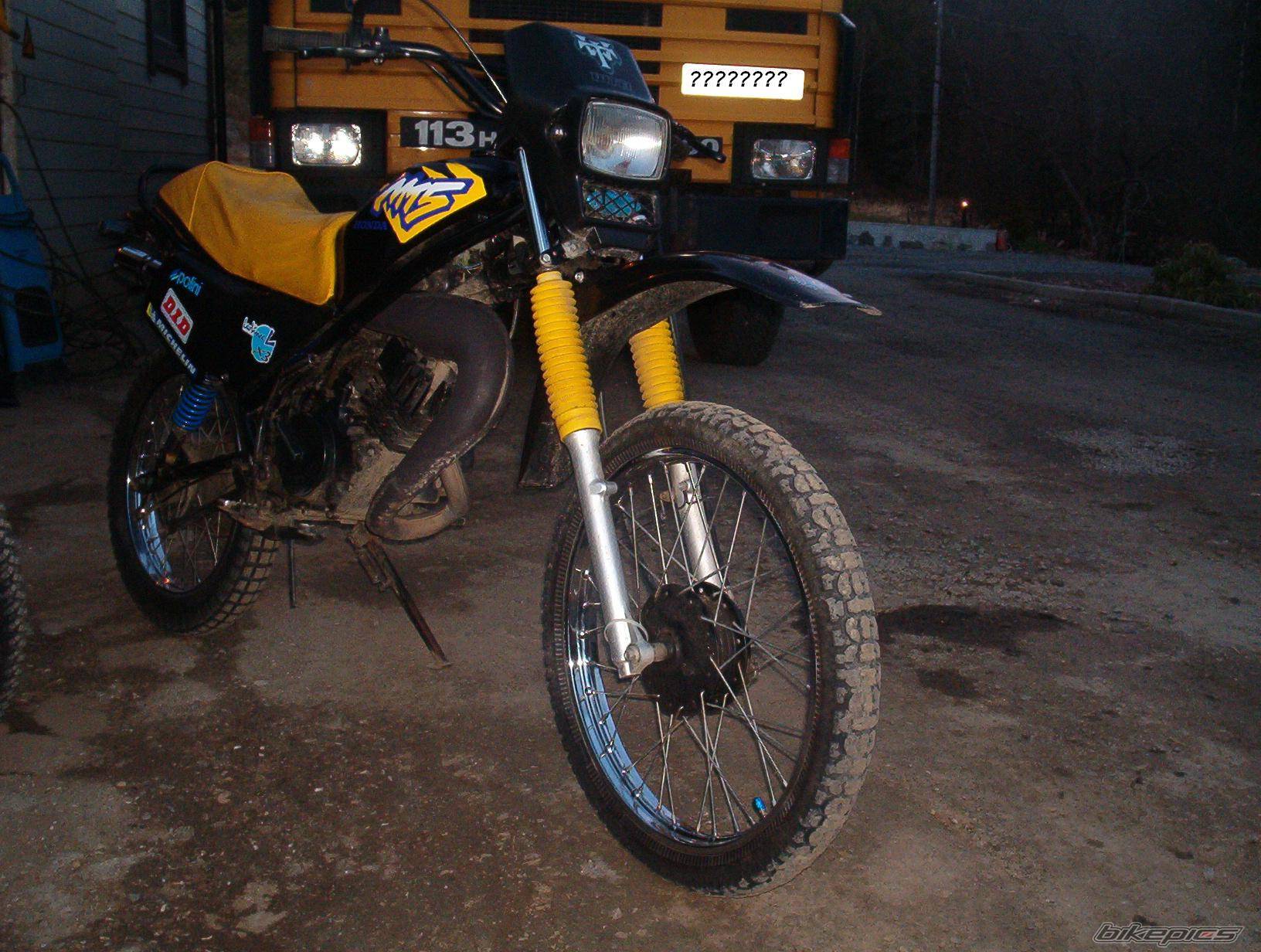 Photo 151763