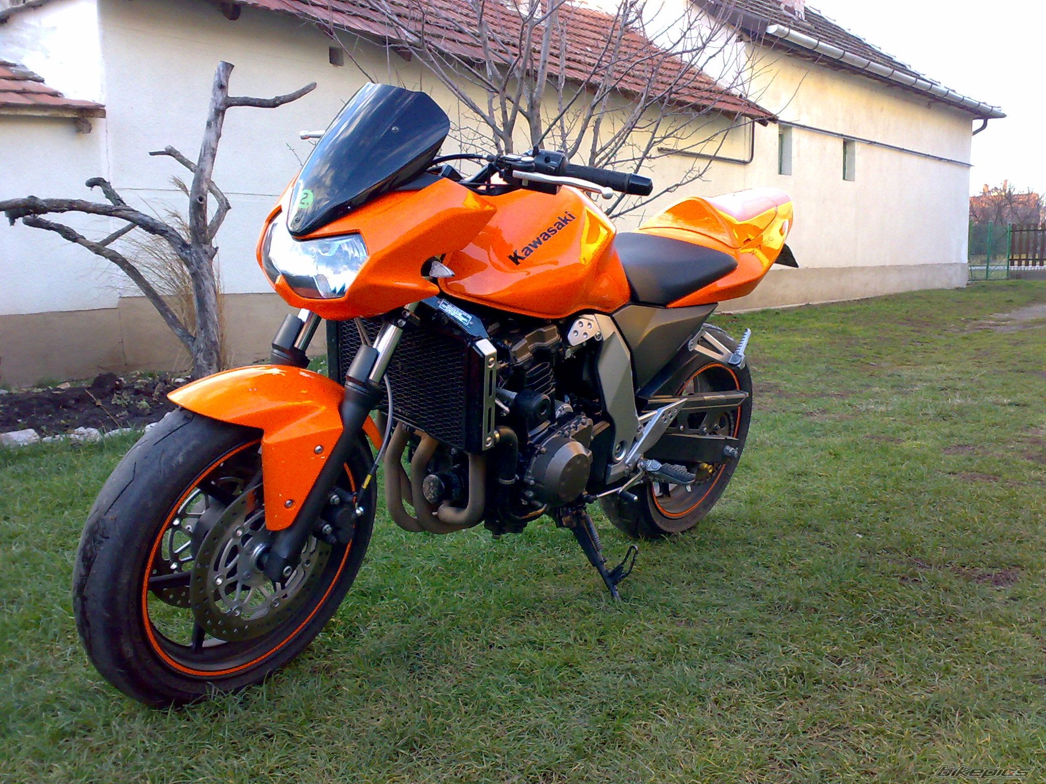 Photo 1517664