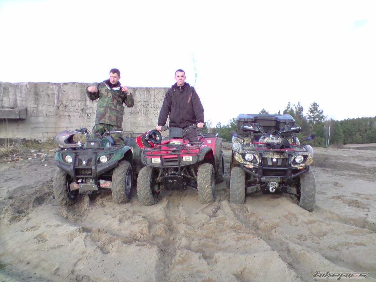 Photo 1517699