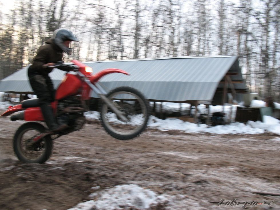 Photo 1517733
