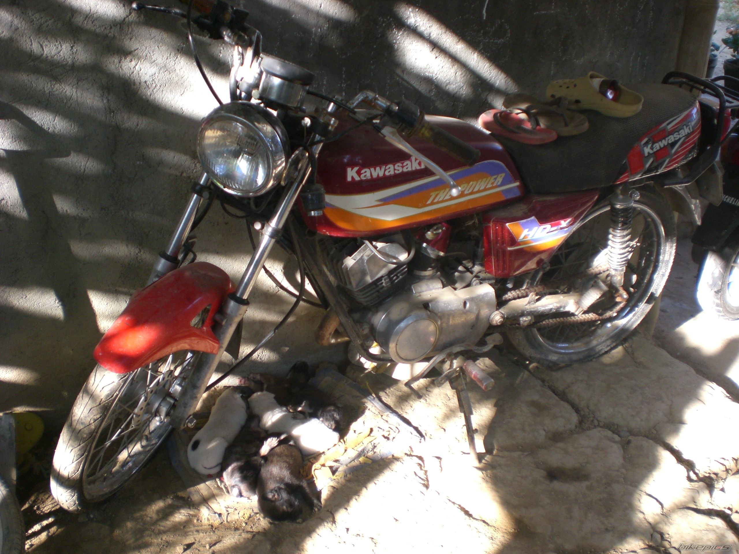 Bike Photo 1517744