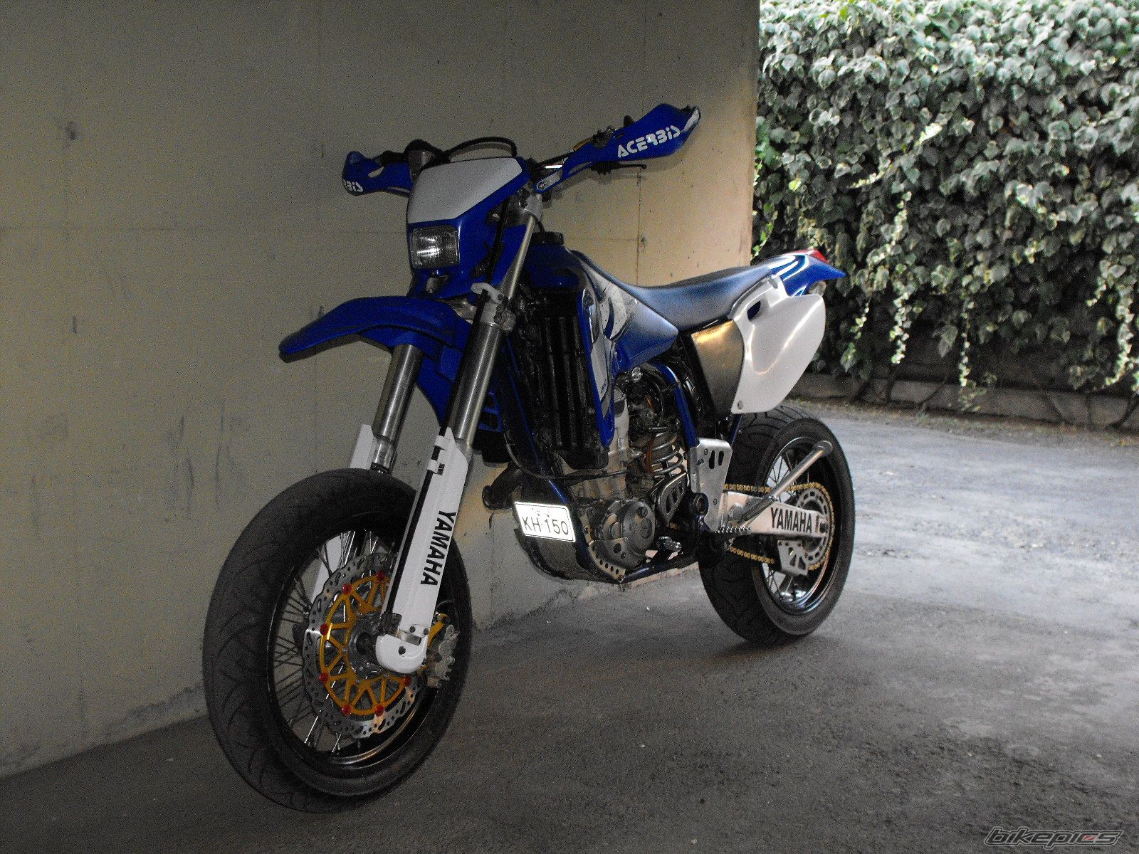 Photo 1517754