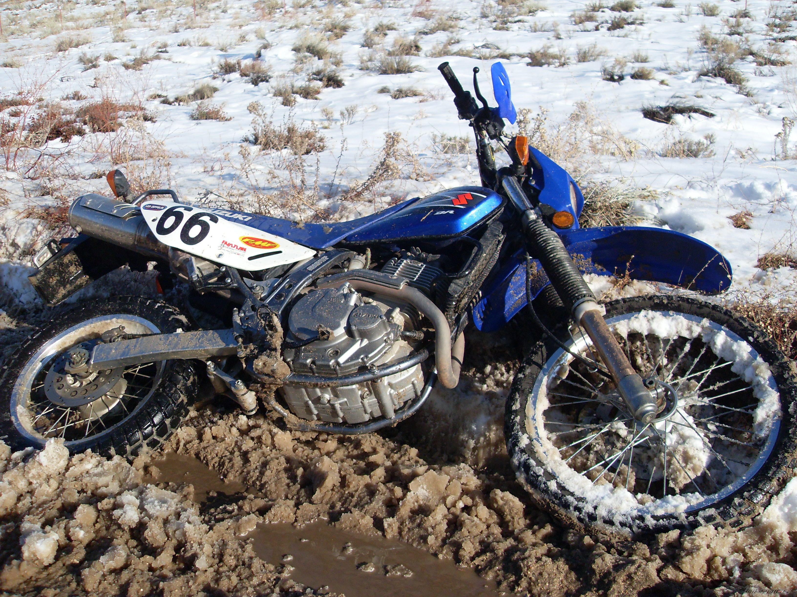 Photo 1517825