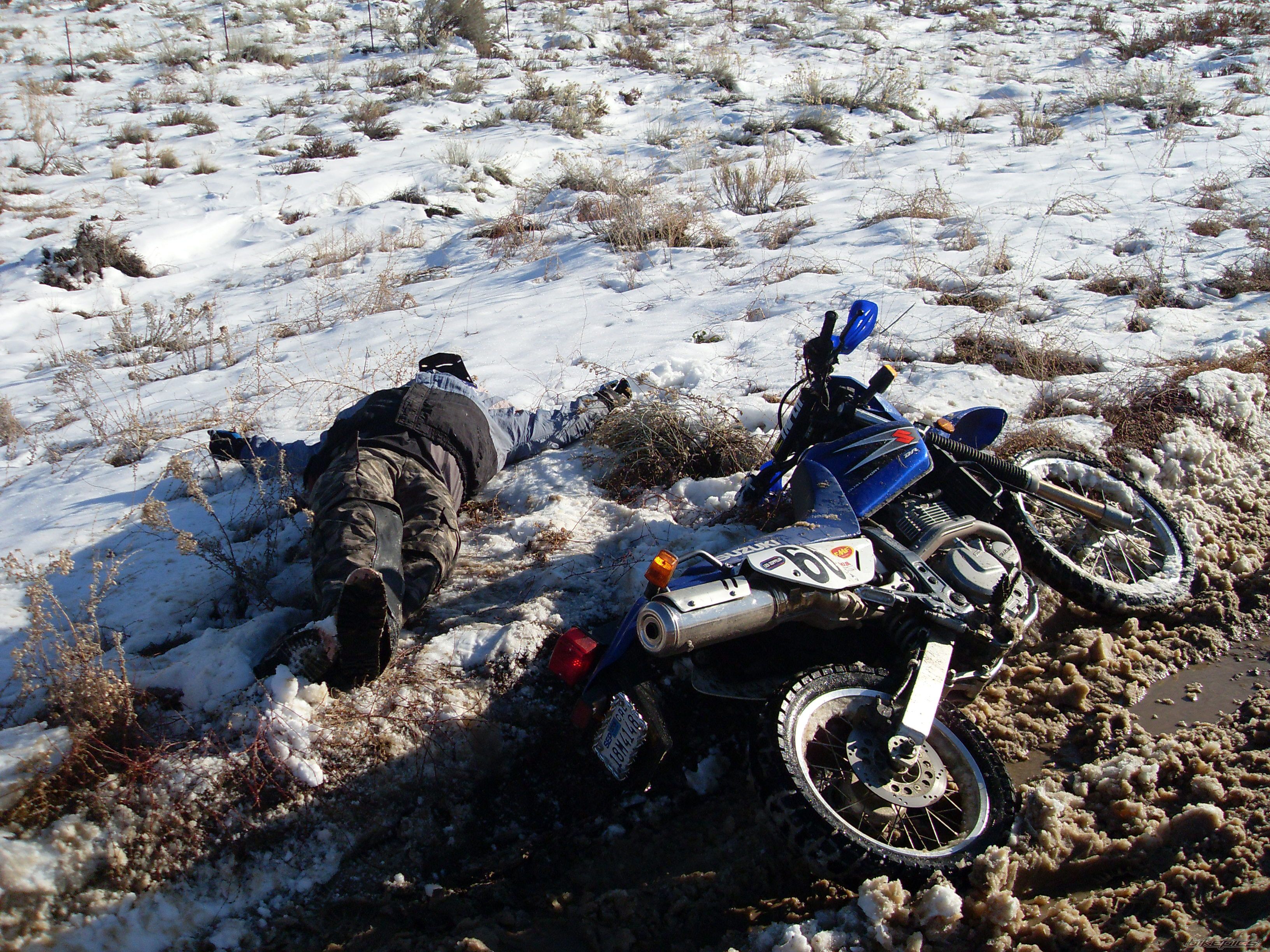 Photo 1517829