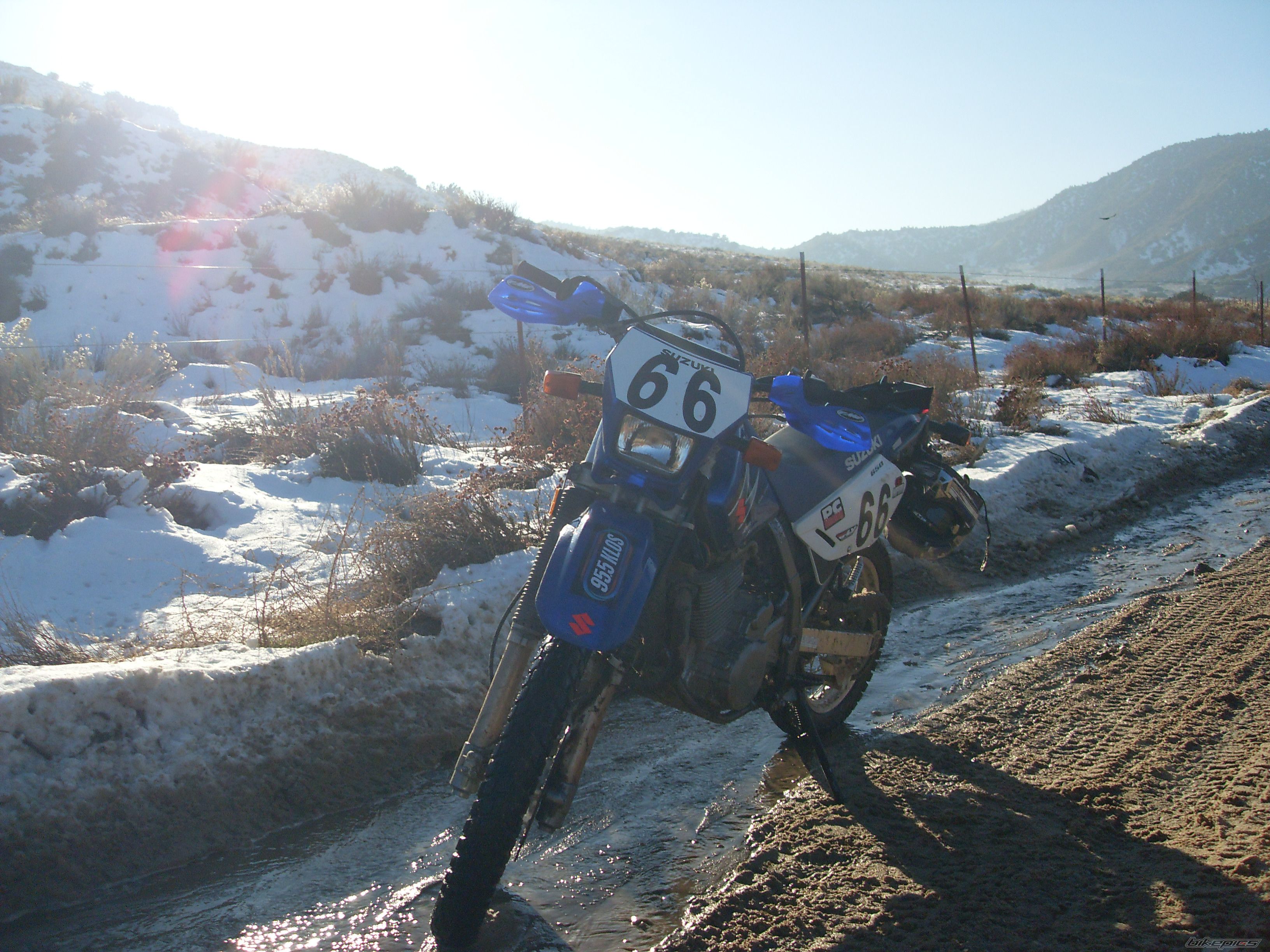 Photo 1517831