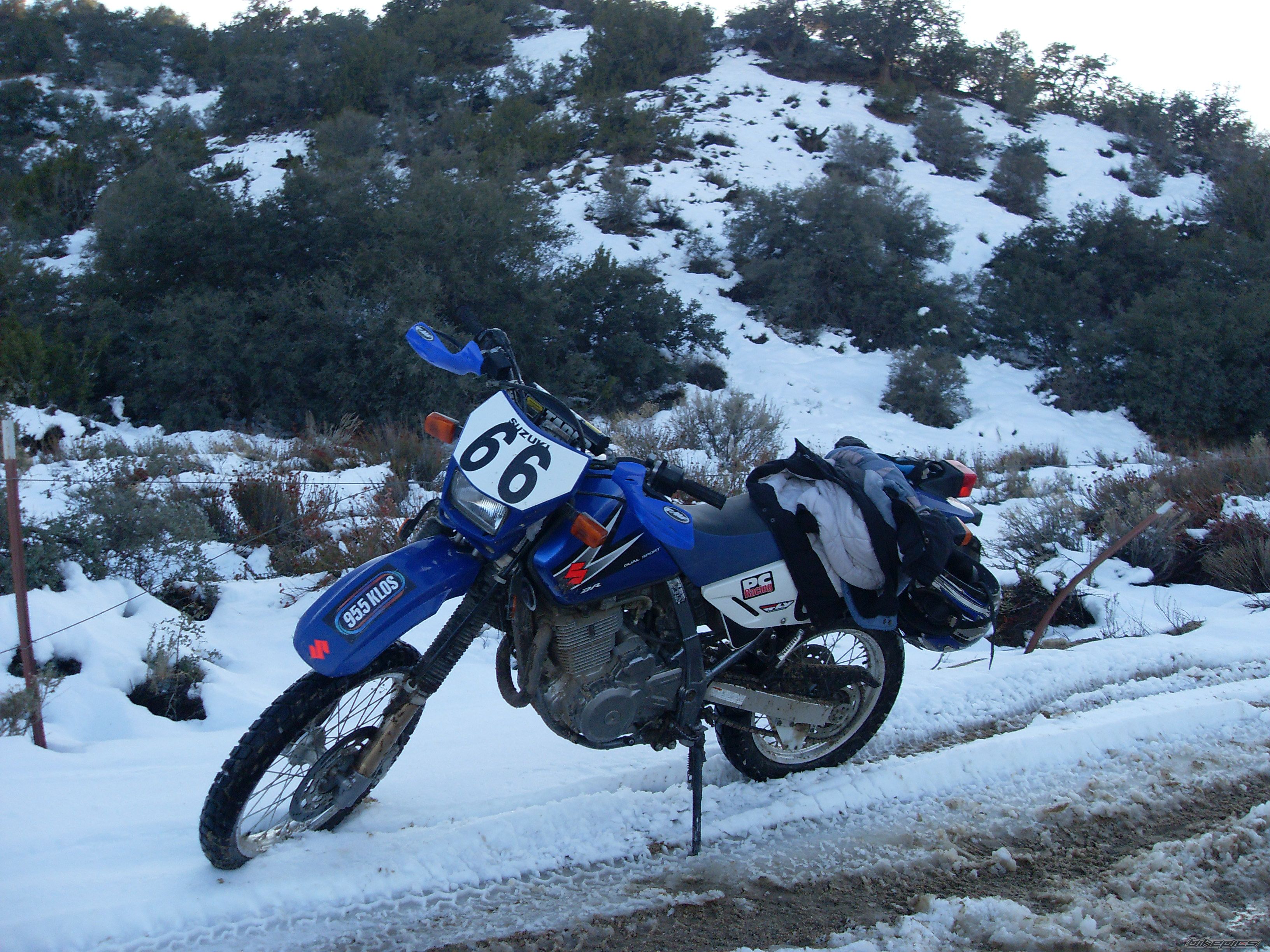 Photo 1517834