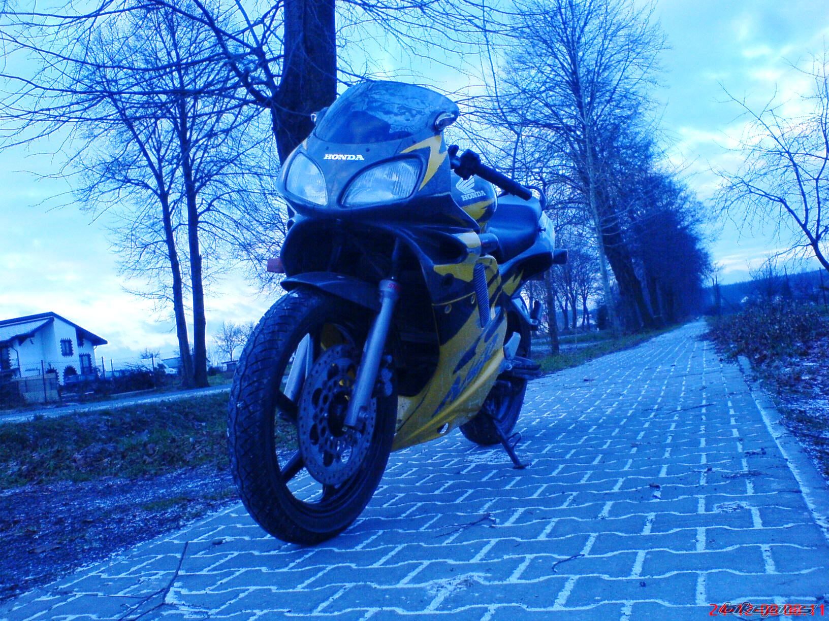 Photo 1517878