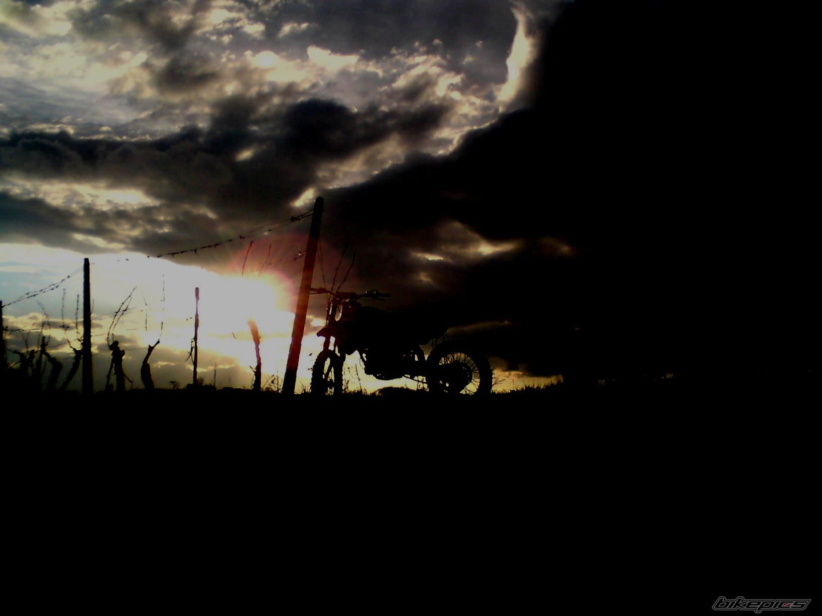 Photo 1517898