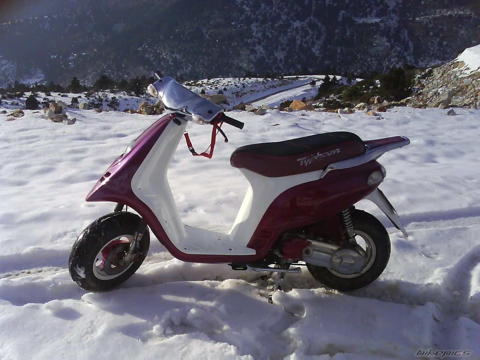 Photo 1518177