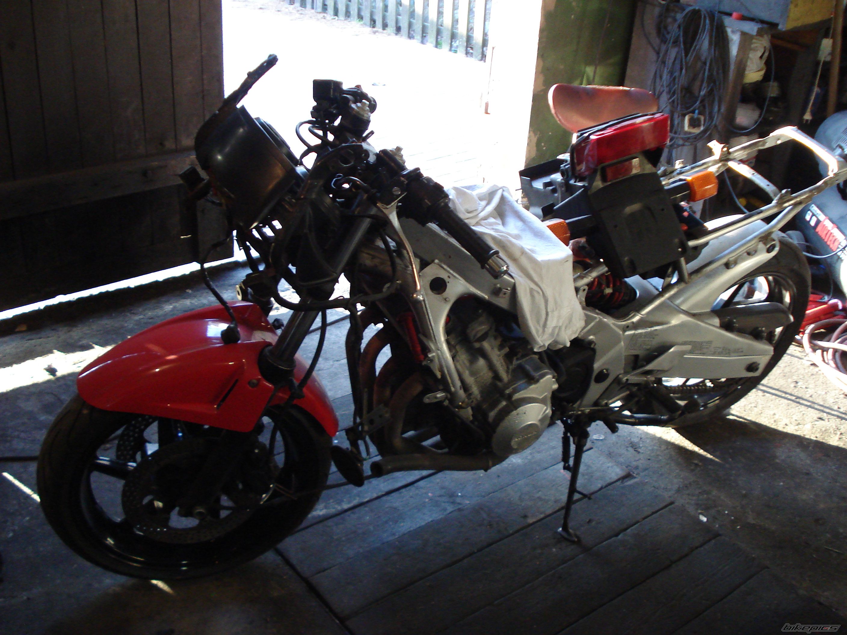 Photo 1518194