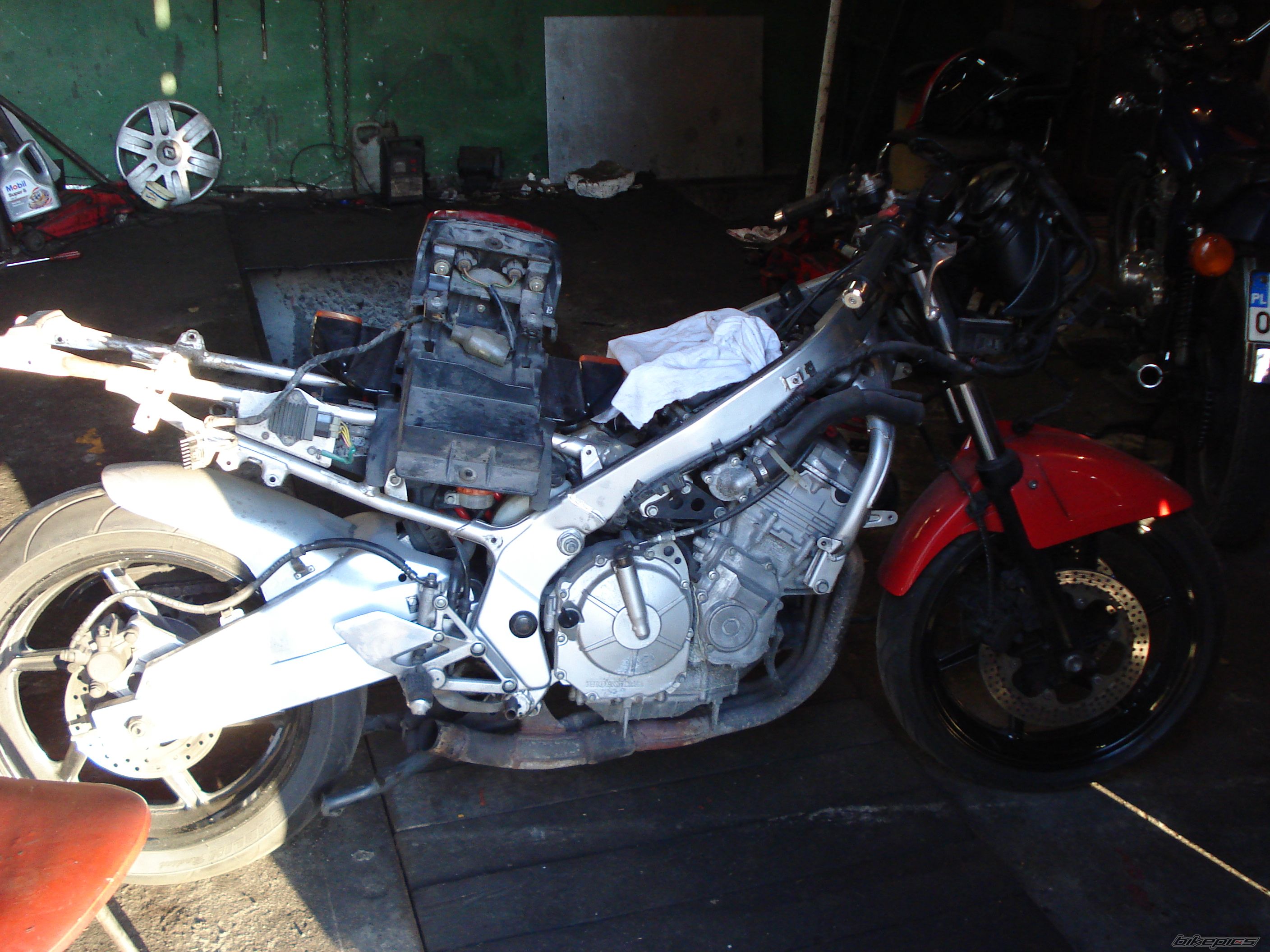 Photo 1518196