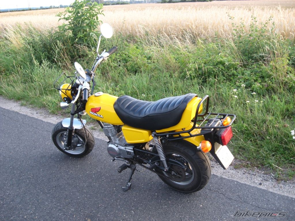 Photo 1518310