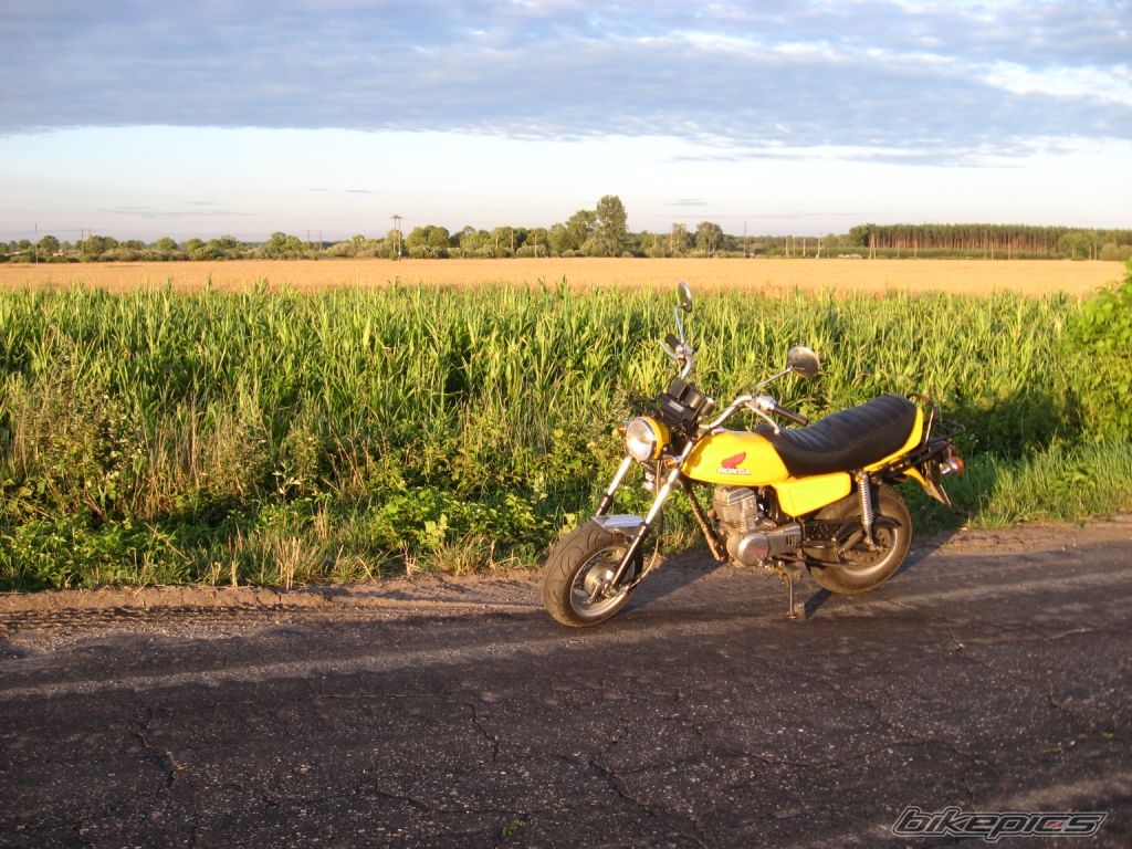 Photo 1518312