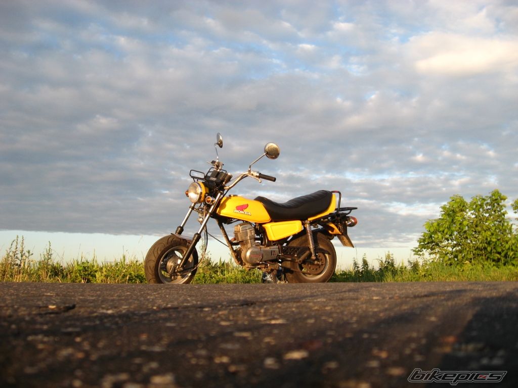 Photo 1518314