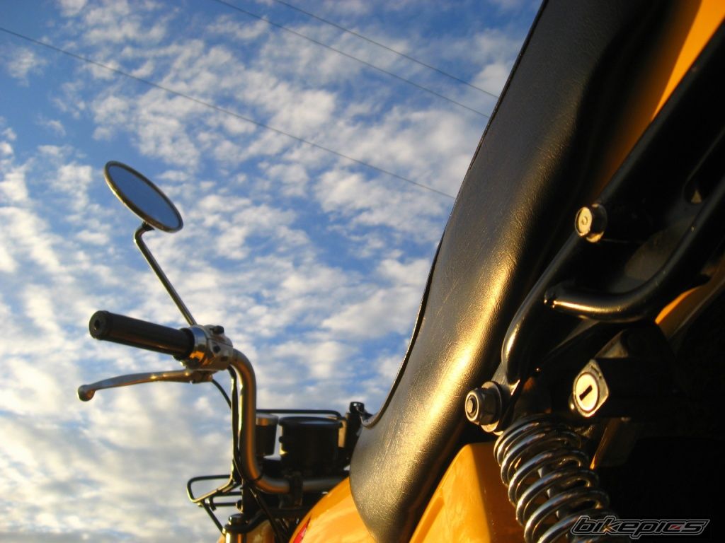 Photo 1518316
