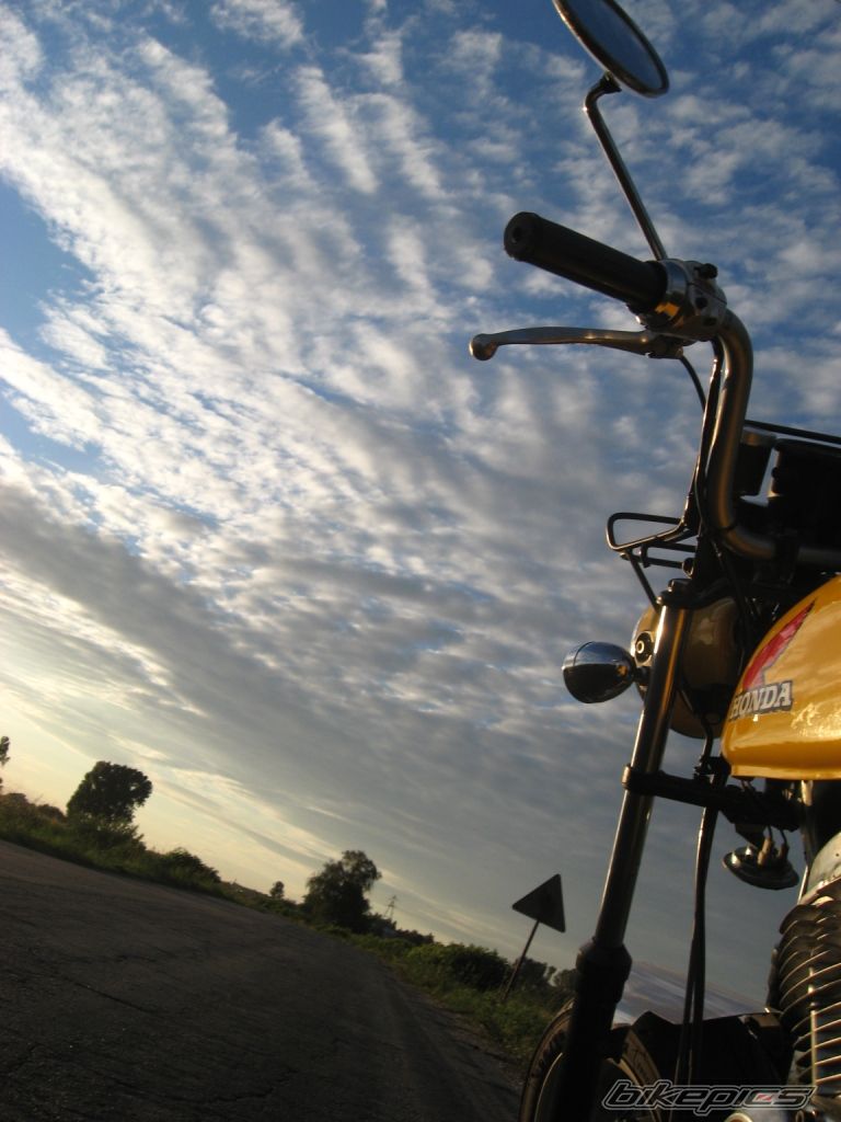 Photo 1518317