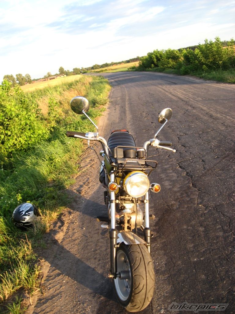 Photo 1518319