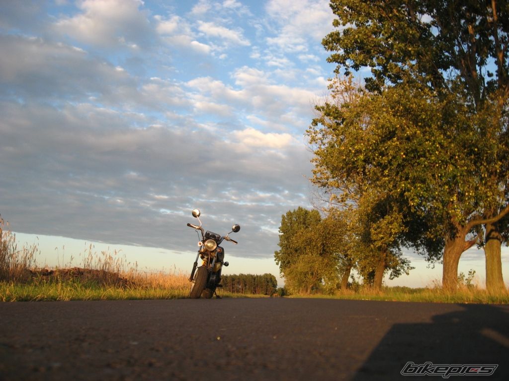Photo 1518323