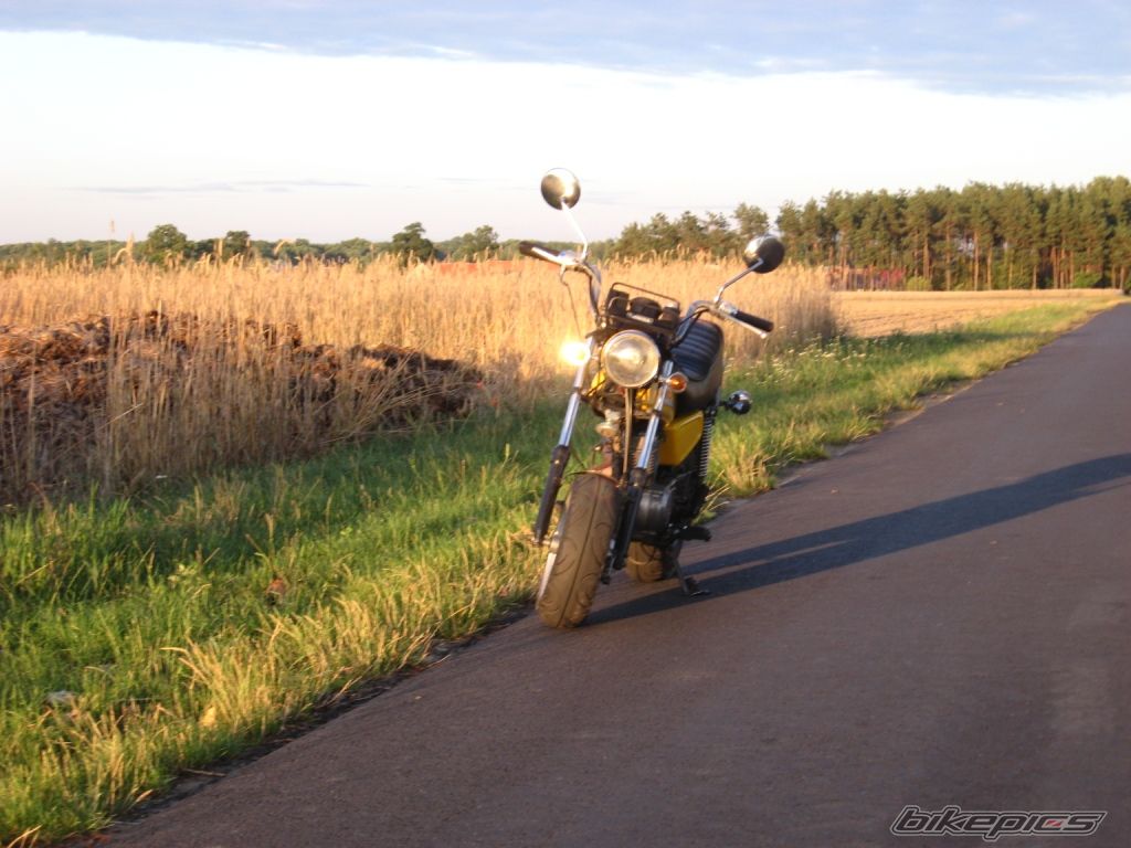 Photo 1518324