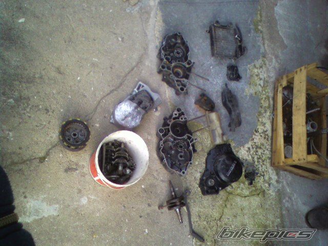 Photo 1518336