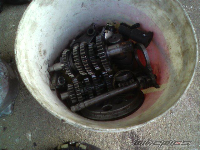Photo 1518338